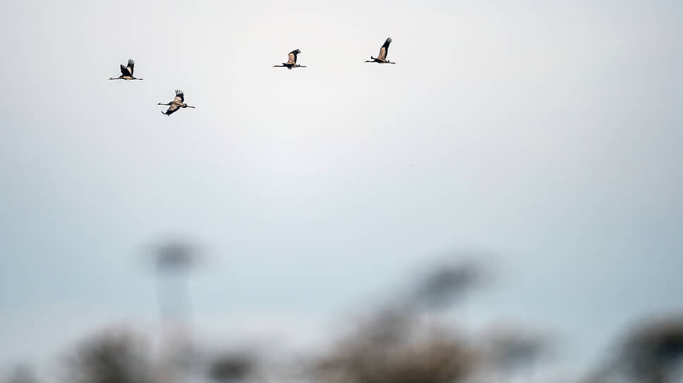 Фото: Кристина Кормилицына / Коммерсантъ