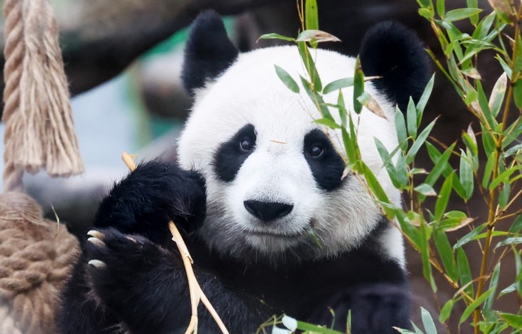    Алексей Белкин/NEWS.ru