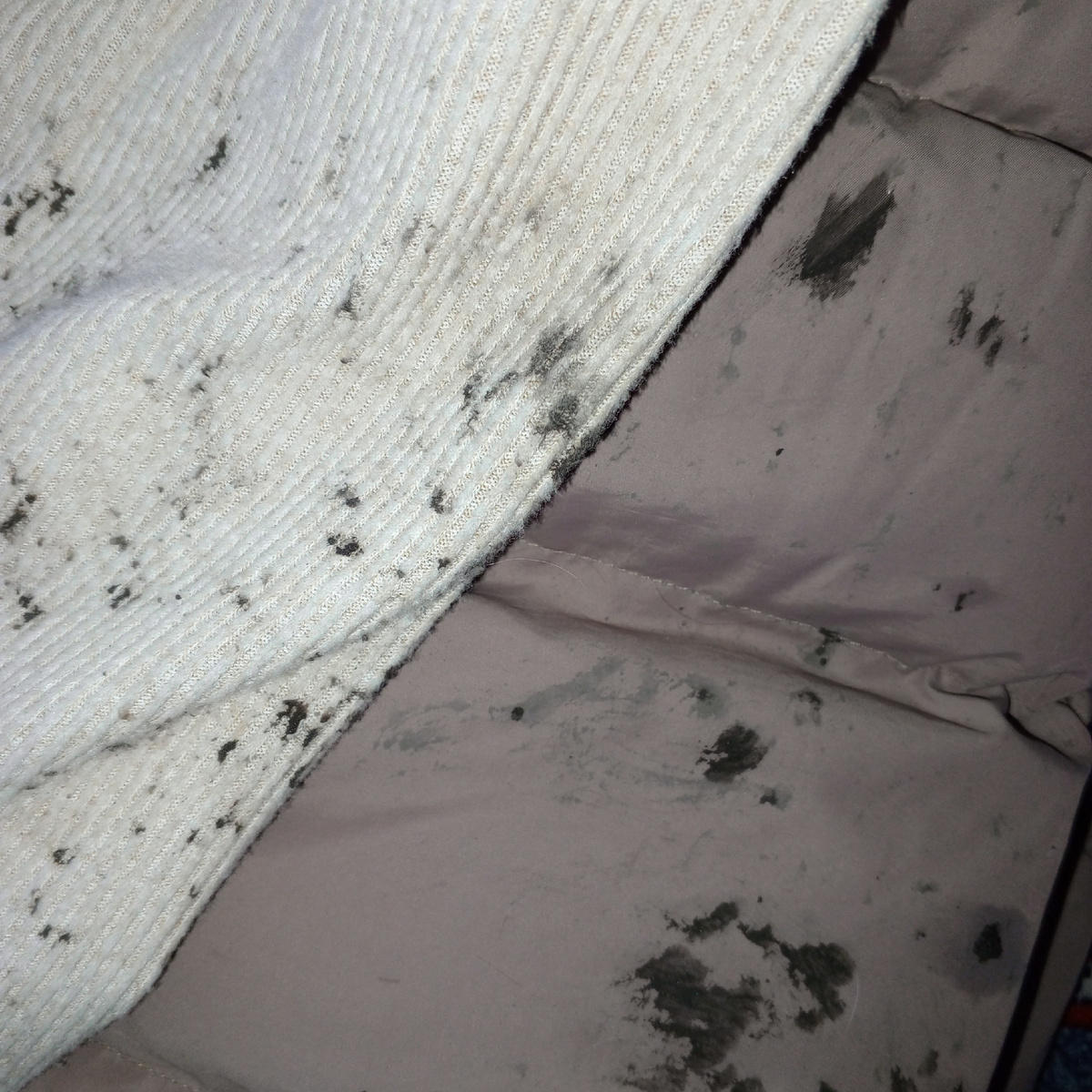 Постр.адавшие. Брызги( не шампанского) а от наполненных сапог.Сапоги не показываю)