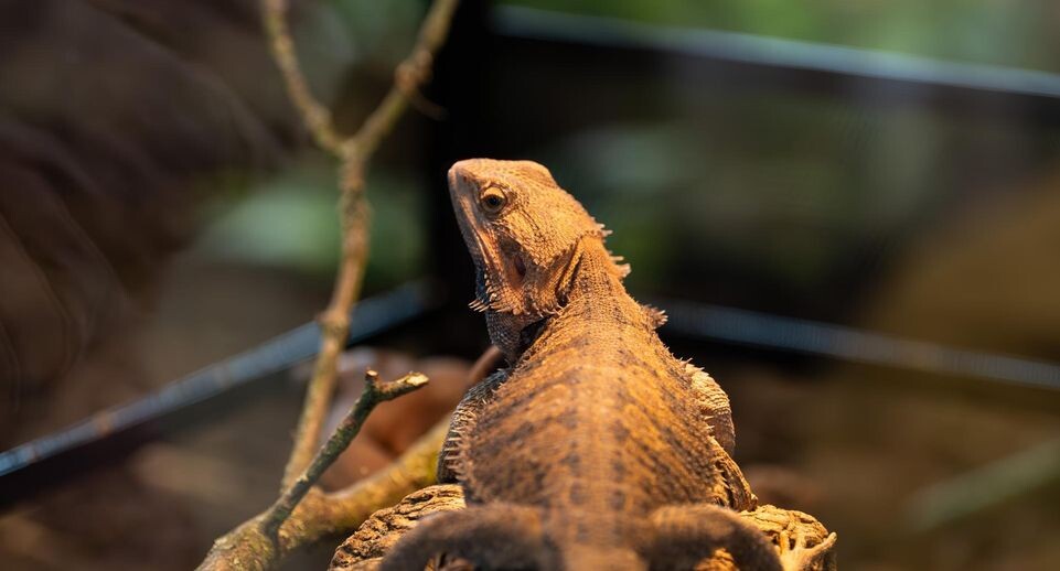    Silas Stein/dpa / www.globallookpress.com