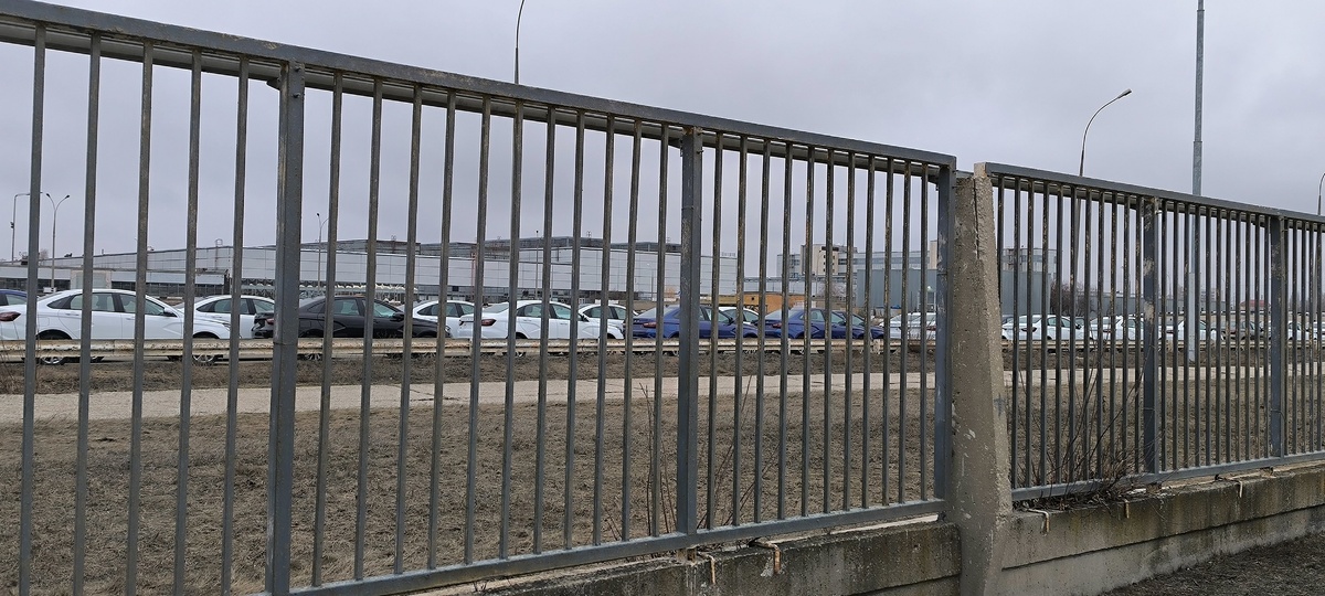 На фото показаны Lada Vesta, требующие дополнительной проверки. Фото: Avtograd  📷
