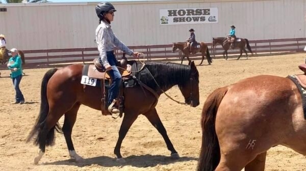 Западный всадник в шлеме.