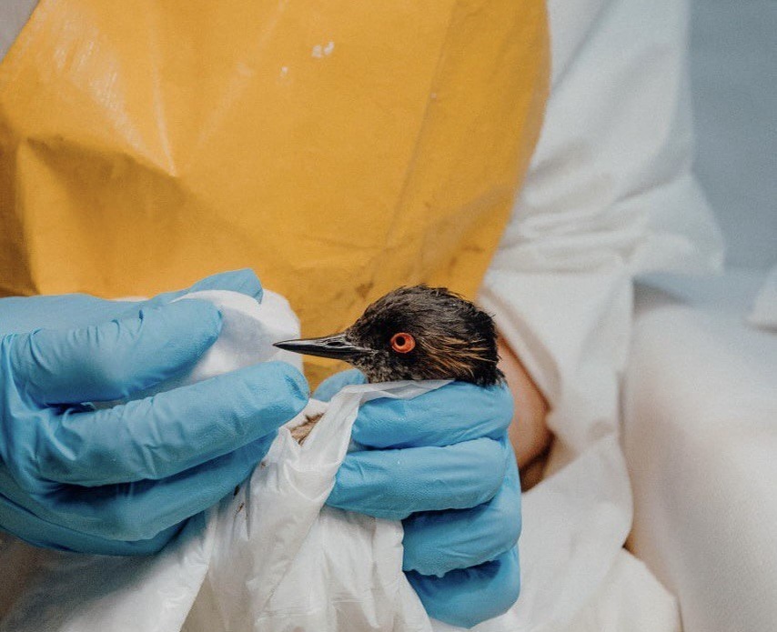    Фото: пресс-служба администрации Краснодарского края