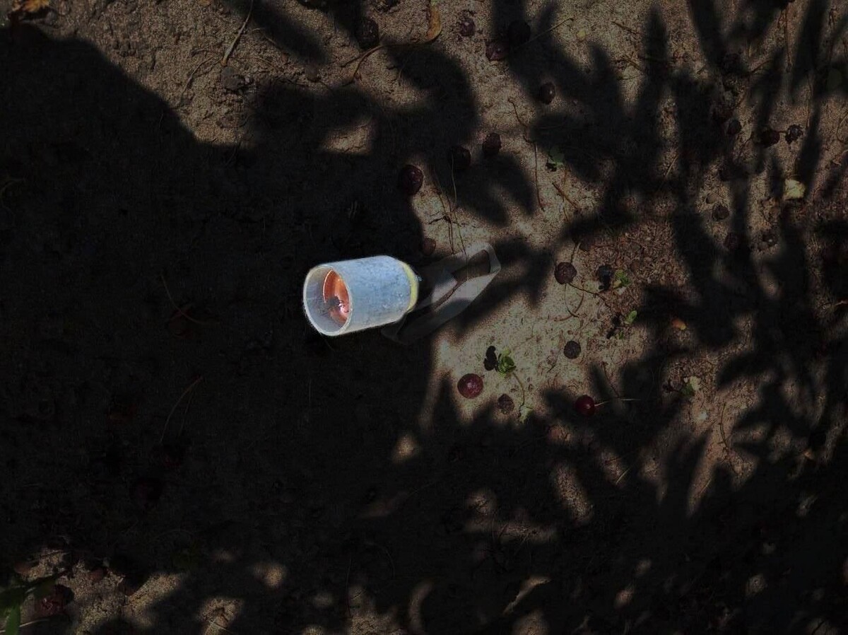     / Источник: © Telegram/Настоящий Гладков