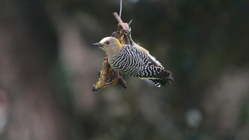 Фото: @wirestock / freepik.com