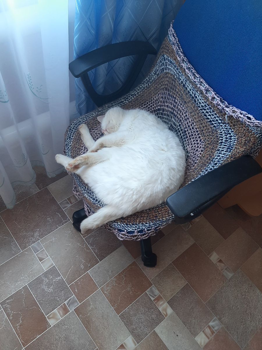 Вайсик после "ночной смены"