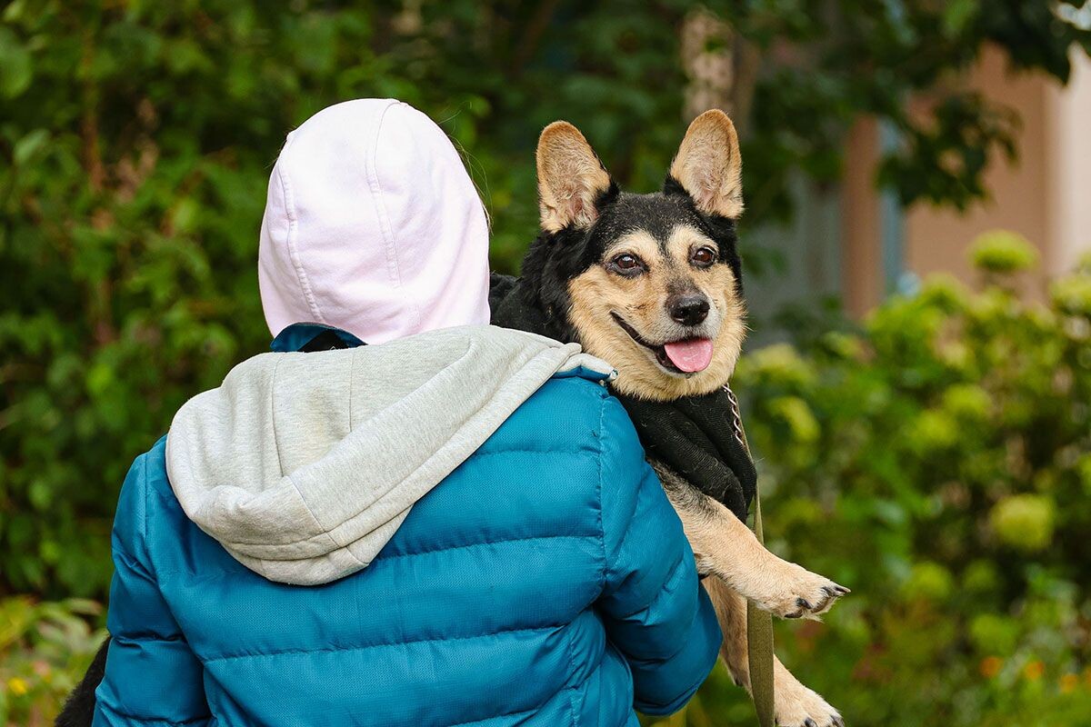    Изображение носит иллюстративный характер. Фото: Tochka.by