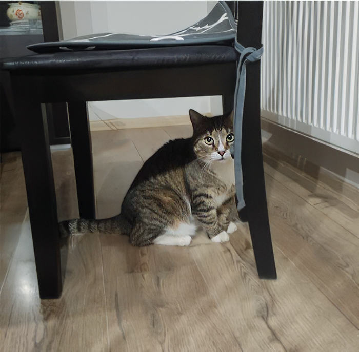 Кисаня взывает к совести людей