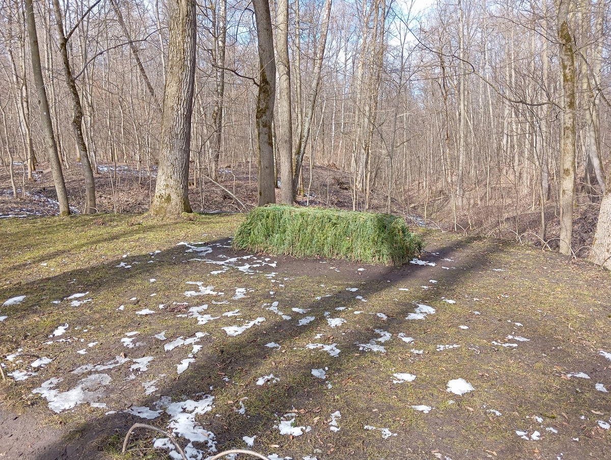 Могила писателя