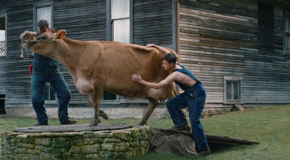 Кадр из фильма