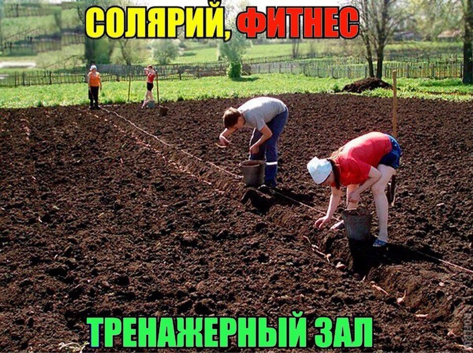 Из открытых источников.
