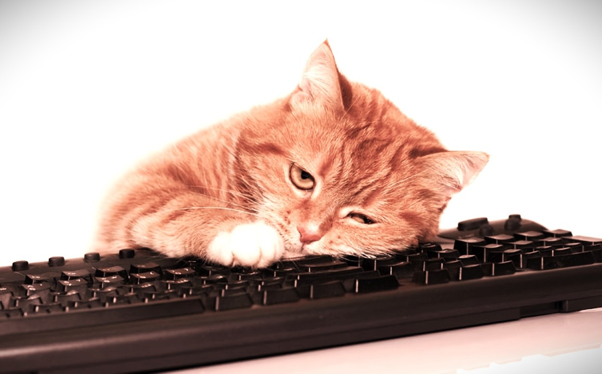 Сильные не сдаются