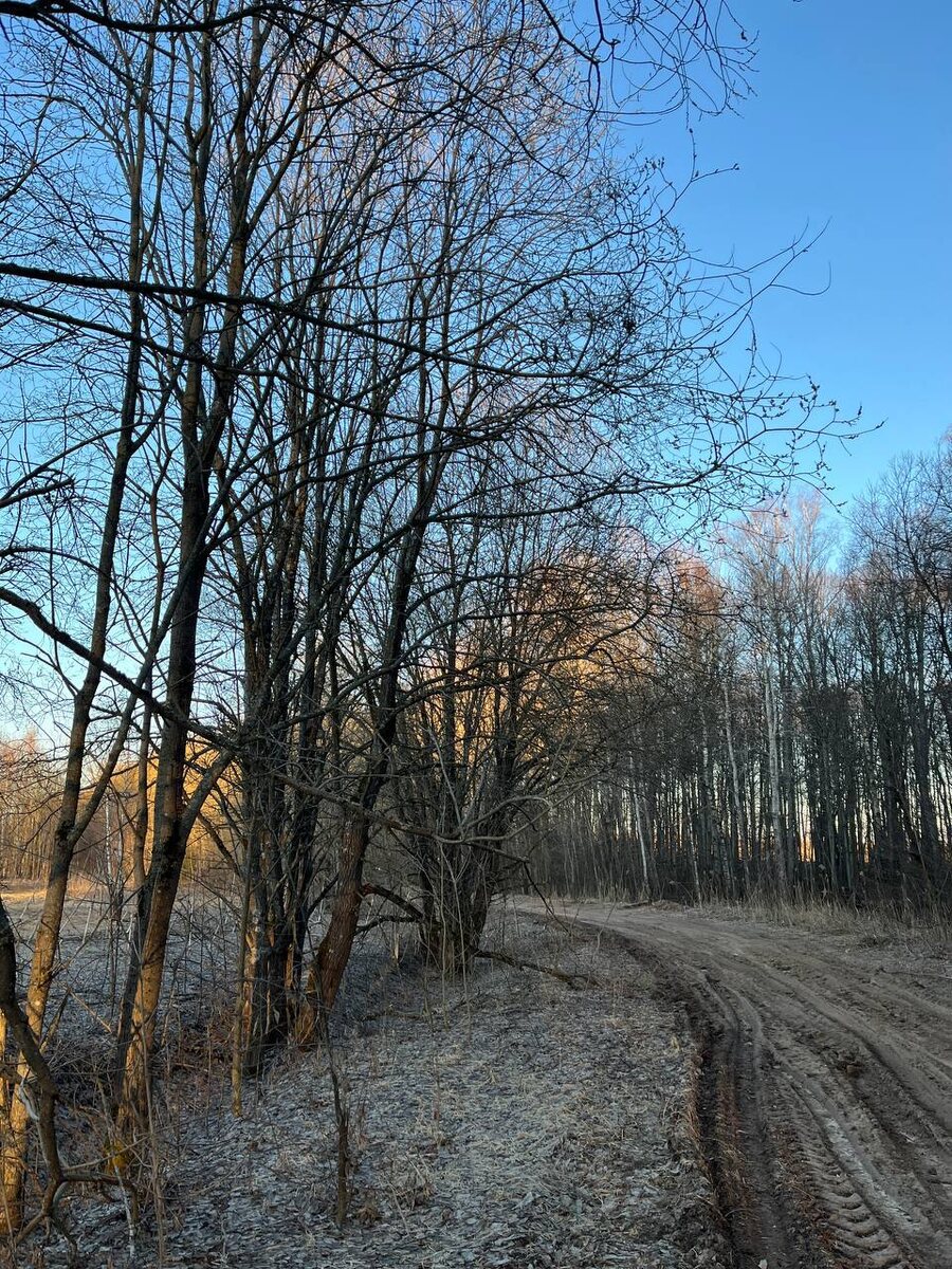 Крестьяне постарались на участке 3 километров копать вдоль барской дороги канавы