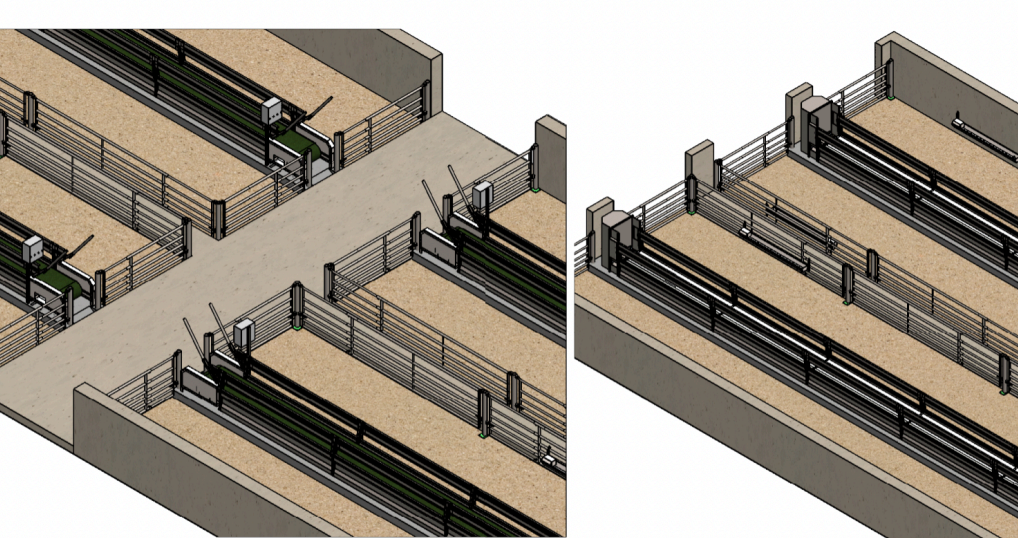 Фермы для маточного поголовья овец и коз с кормолентами