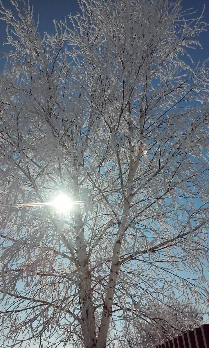 Фото из архива автора.