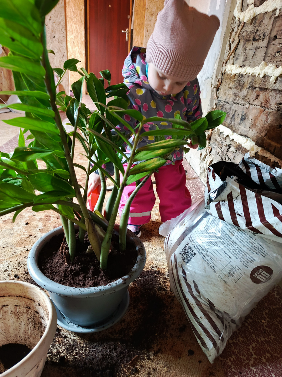 Моя помощница.