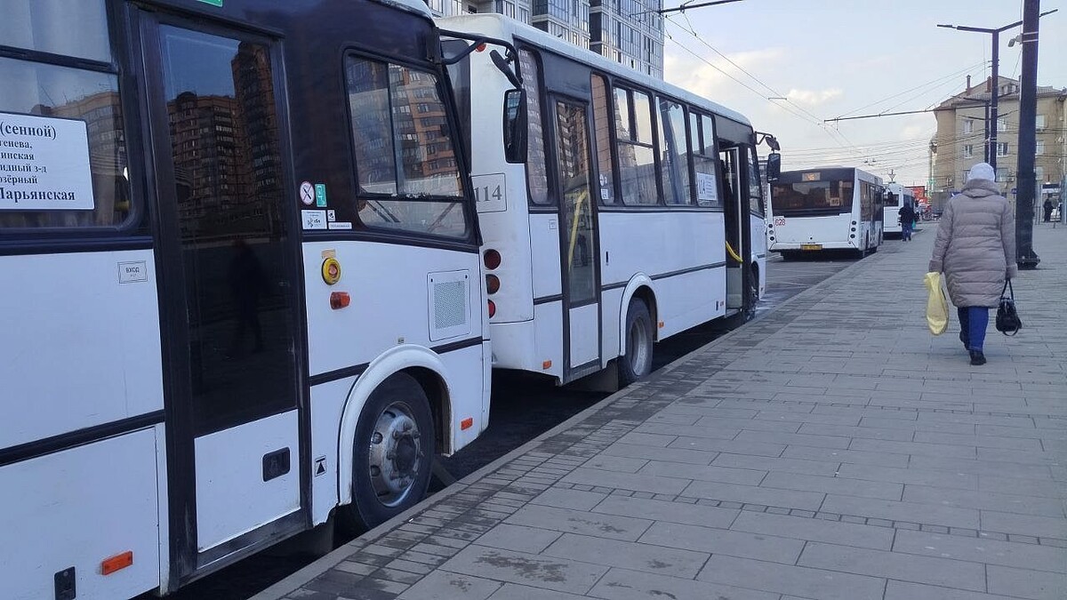    Фото: телеканал «Краснодар»