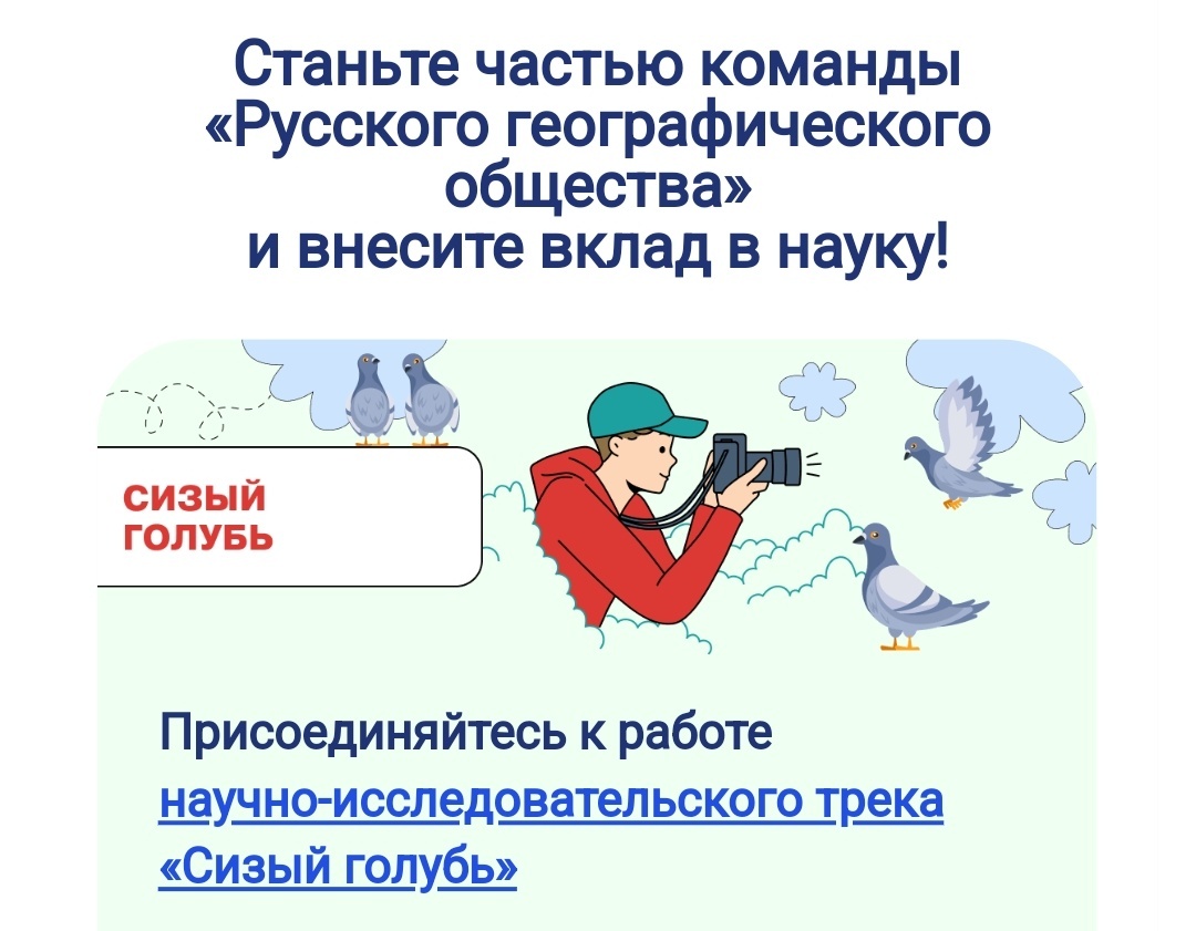 Красивая картинка из письма