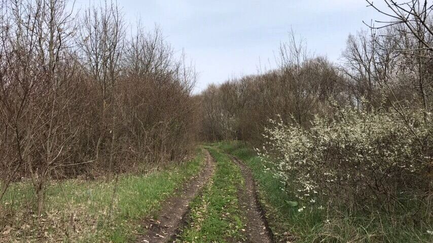     Источник: 1MI