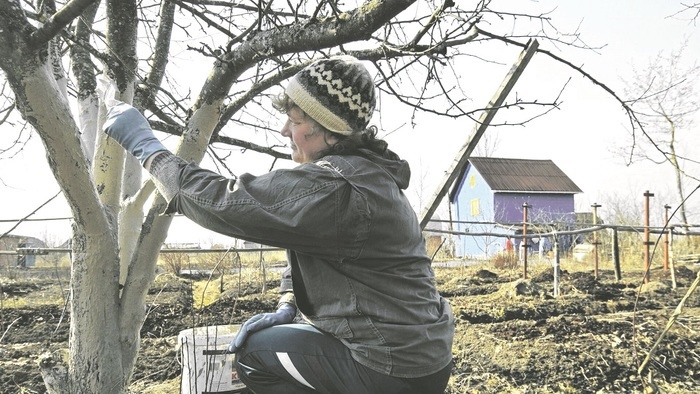    На пороге весны