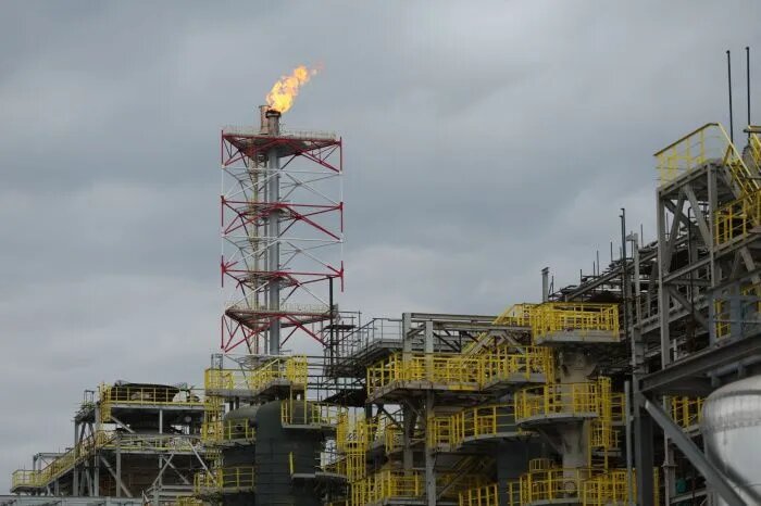 Фото: пресс-служба администрации Краснодарского края