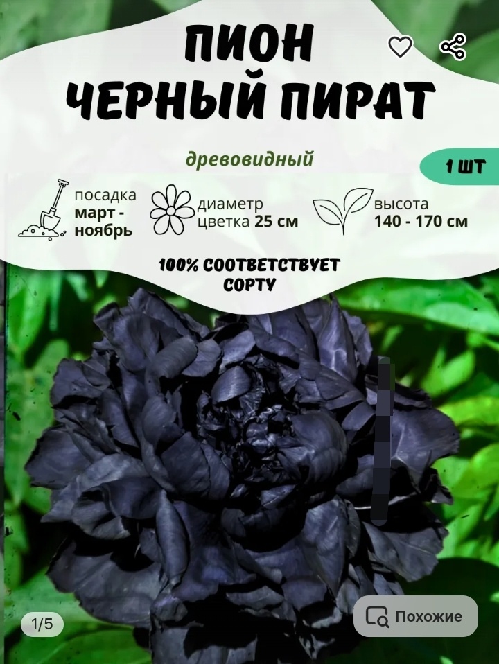 Скриншот с Вайлдберриз 