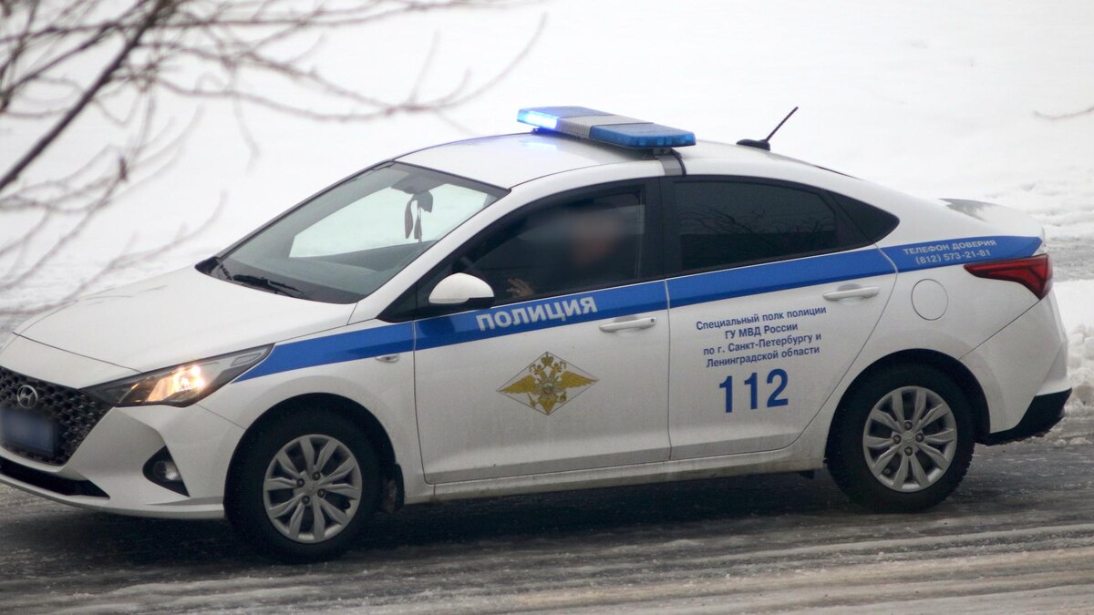    Фото: Maksim Konstantinov/globallookpress.com