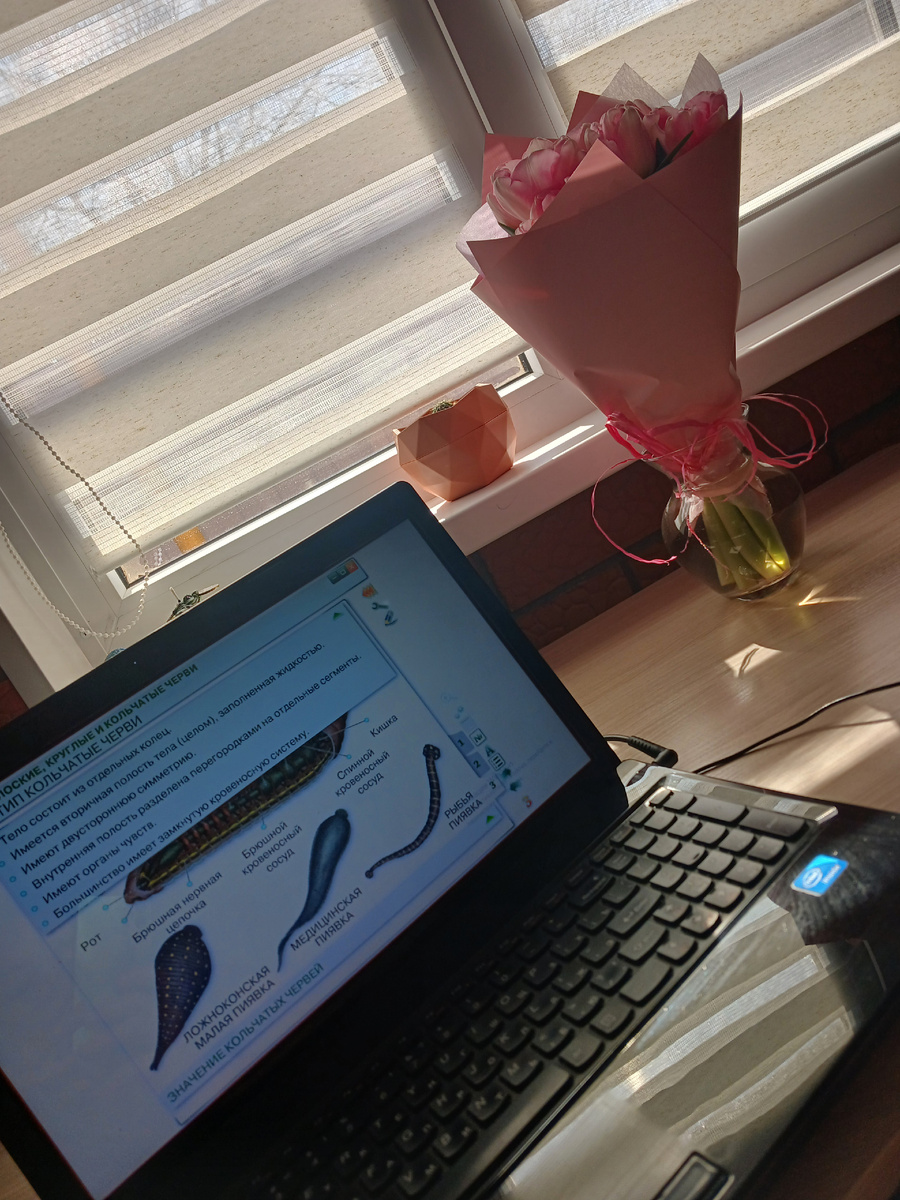 Ноутбук терпеливо ждёт меня дома