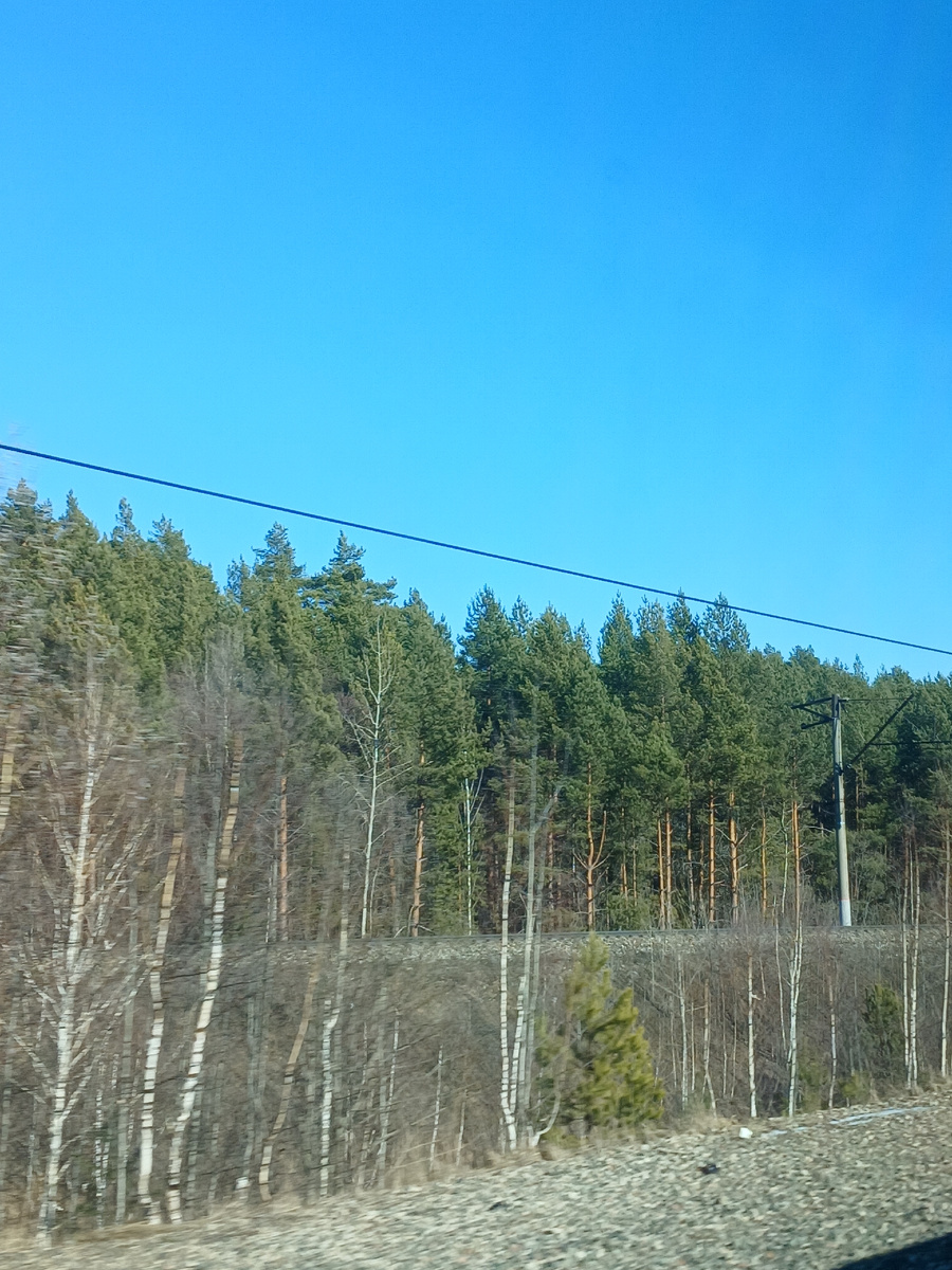 За окном поезда Татарстан