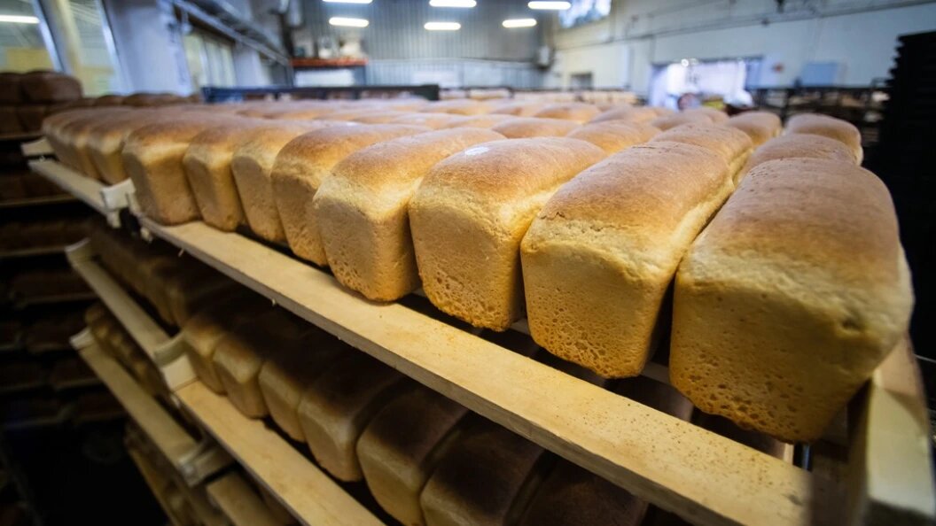    Фото: Ilya Moskovets/URA.RU/Globallookpress