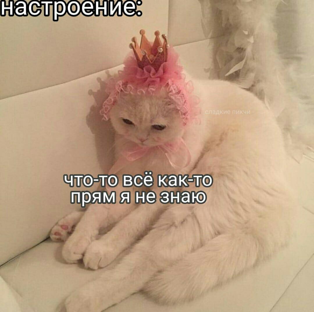 Картинка из интернета 