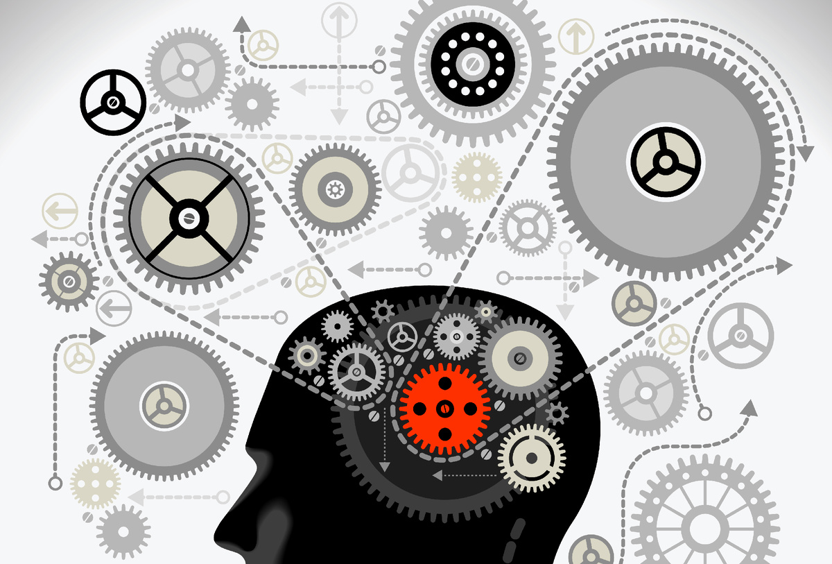 Изображение из сети интернет