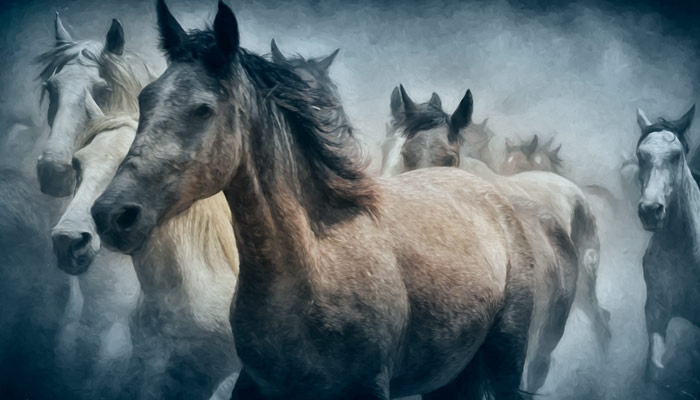 В день святого Феофана Сигрианского не стоит обижать лошадей, это к несчастью. Фото: pxhere.com