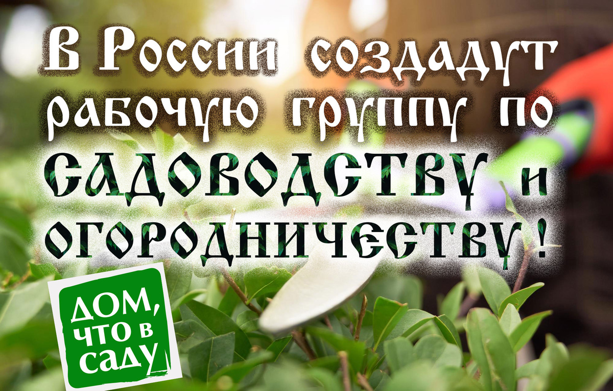 Дом, что в саду