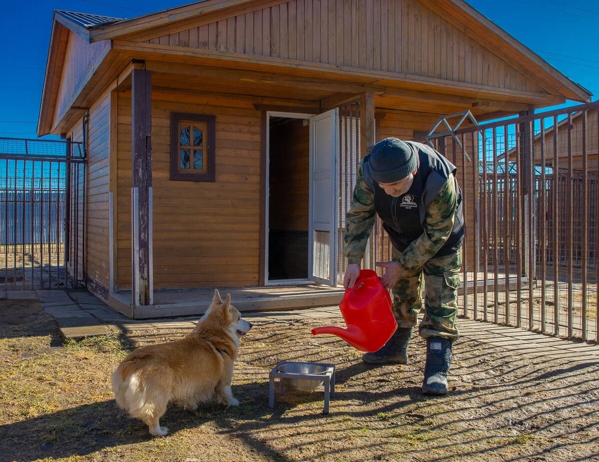 Зоогостини для собак  "Атаман" расположена при кинологическом центре. Фото: Игорь Перфильев