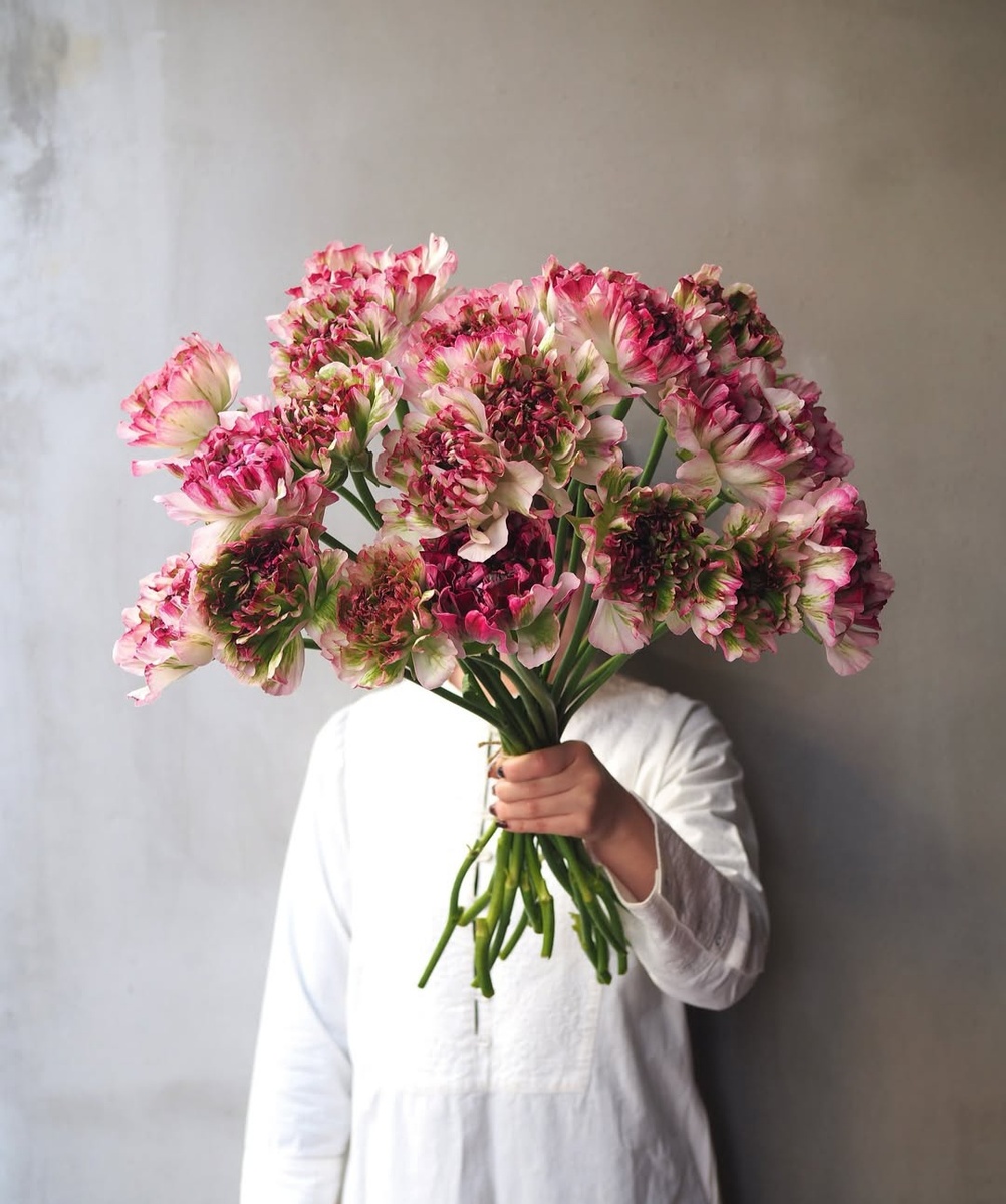 Автор ours_flower