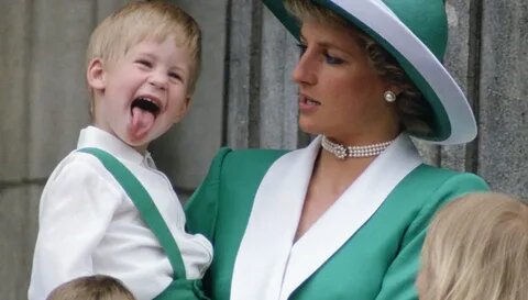 фото из яндекса