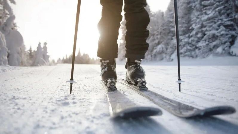    Фото: Maridav/Shutterstock/Fotodom