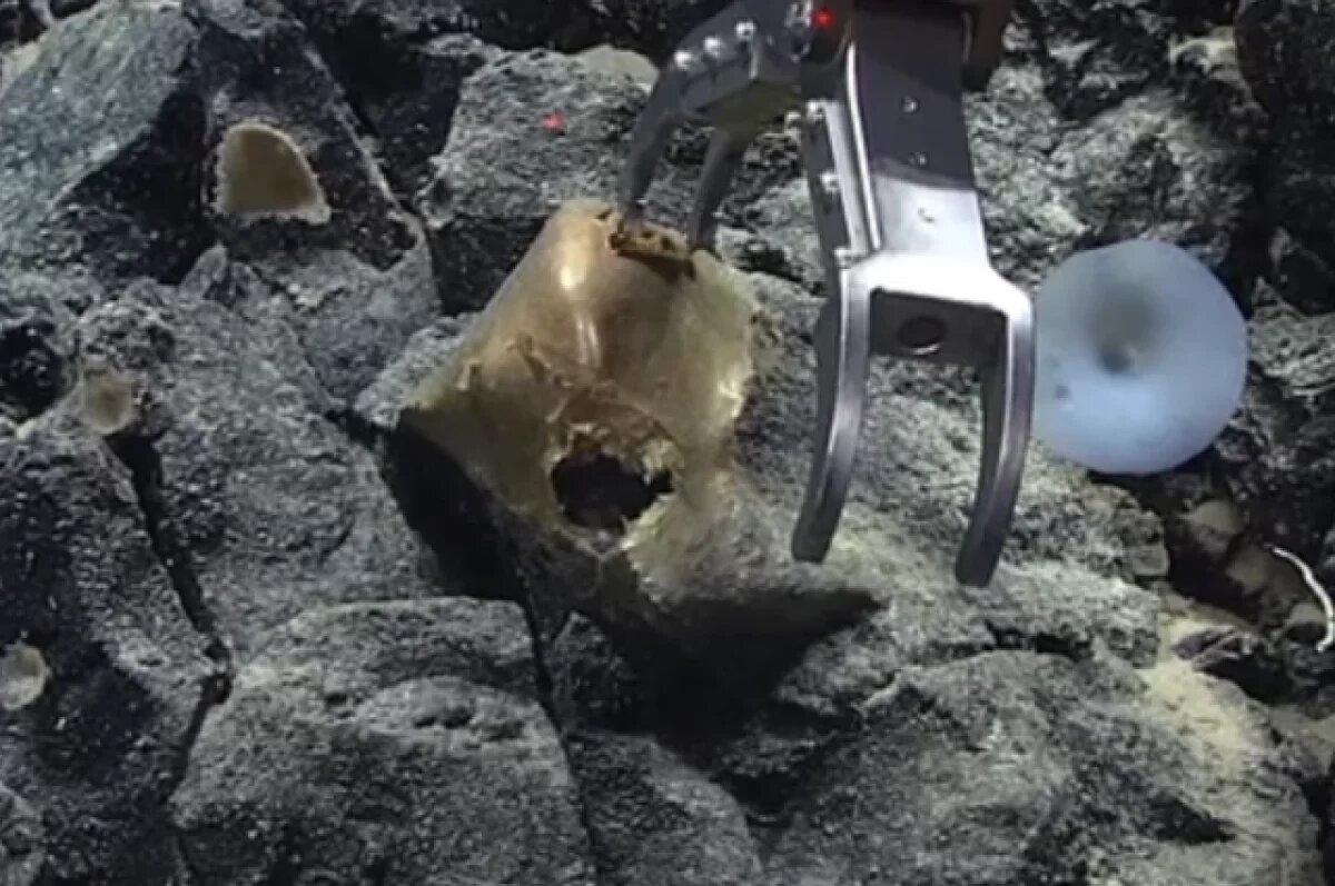    Таинственный «золотой шар» нашли на дне океана у побережья Аляски