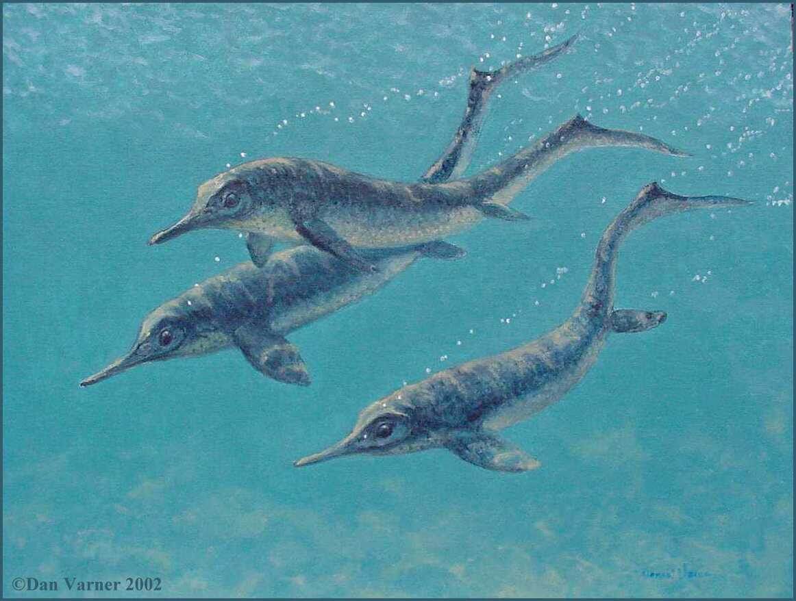 Один из самых ранних ихтизавров – утатсузавр.