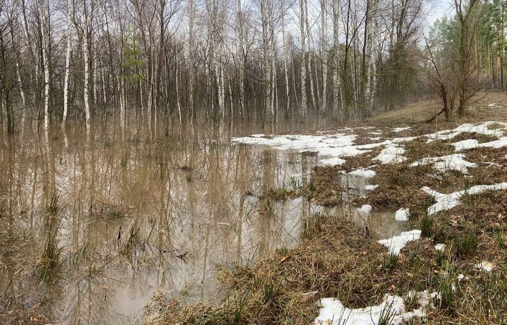    Уровень воды в Самаре у Бузулука растет, а у Бузулукского бора падает