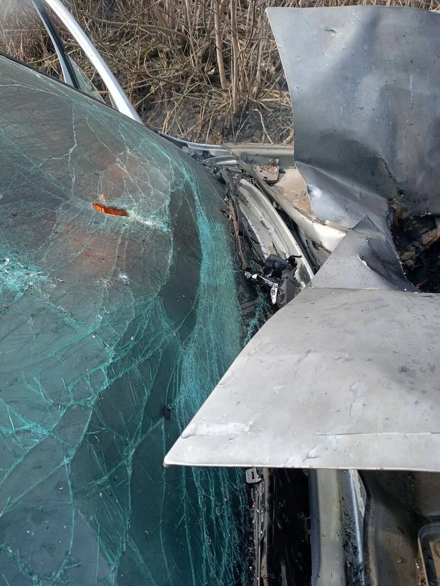    Фото: telegram-канала врио губернатора Курской области Александра Хинштейна