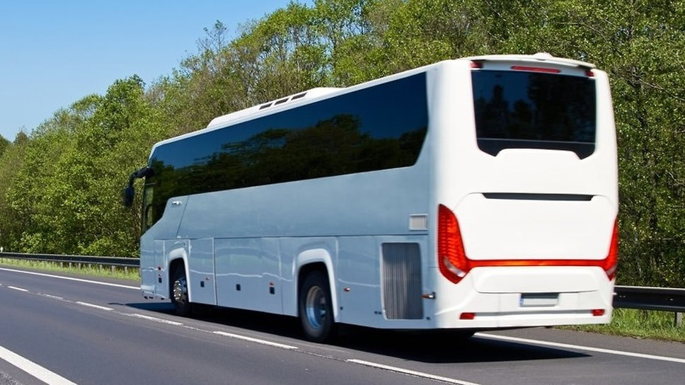 Фото: Пресс-служба администрации Туапсинского района