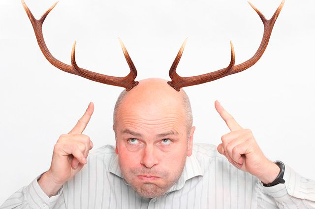 Источник: Аргументы и факты