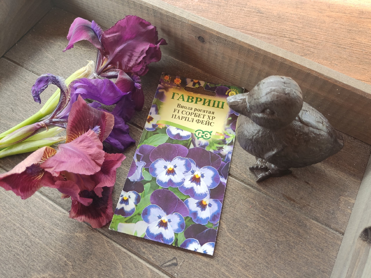 Если кто-то уже выращивал семена из таких пакетиков - рассказывайте в комментариях, что получилось