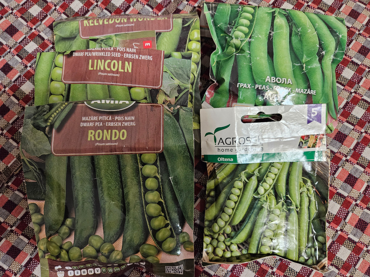 Посеянные сорта гороха