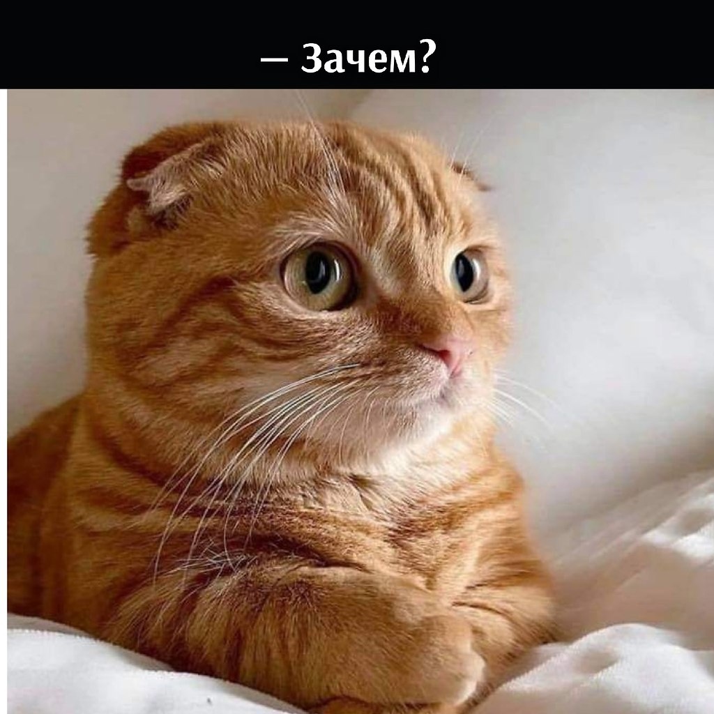 источник Яндекс-картинки