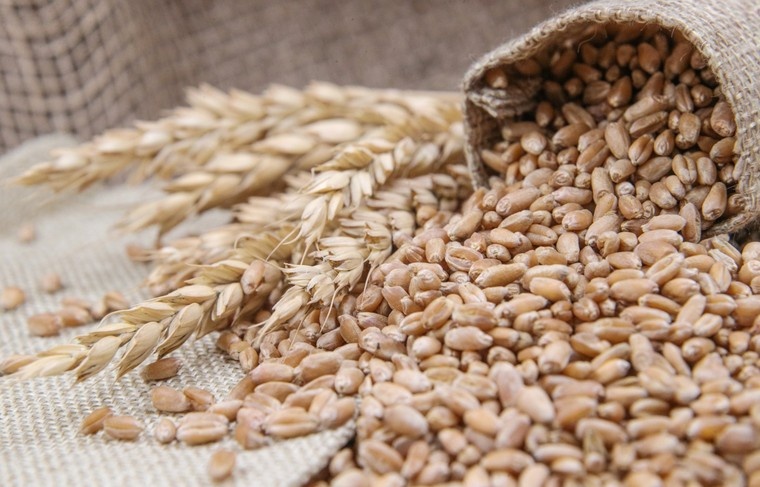    Сергей Булкин/NEWS.ru