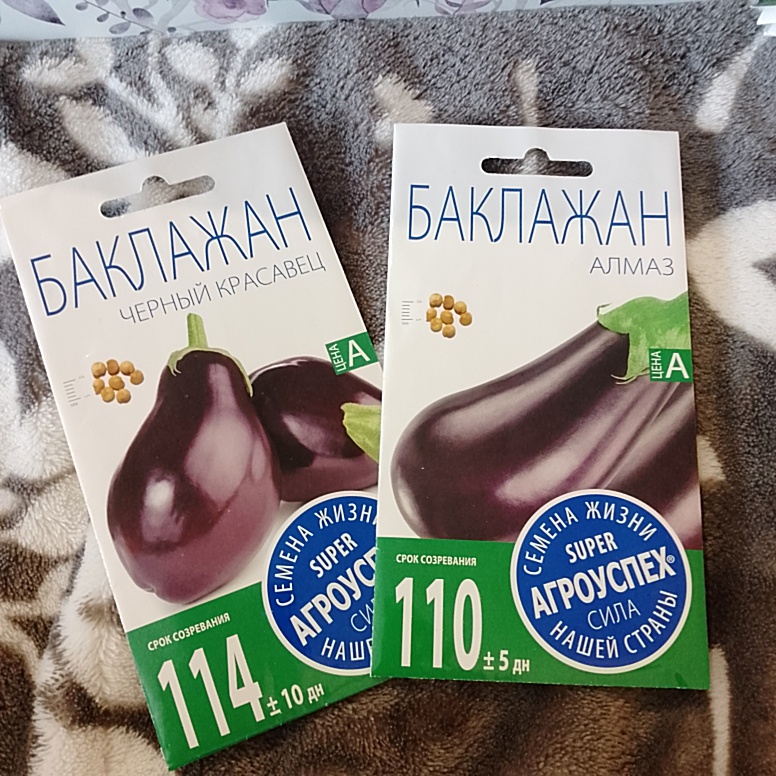 Семена баклажан
