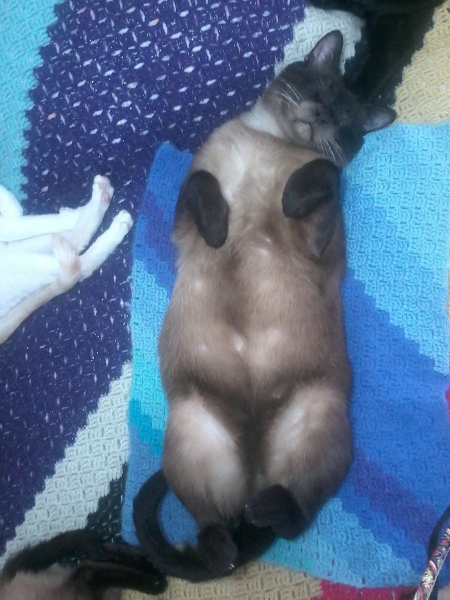 Фото из личного архива